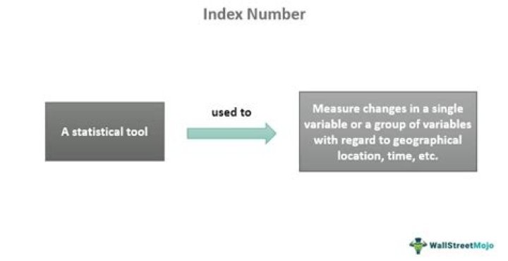 What is an index variable