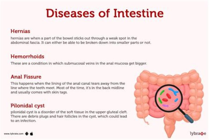 What is an infection in your intestines called