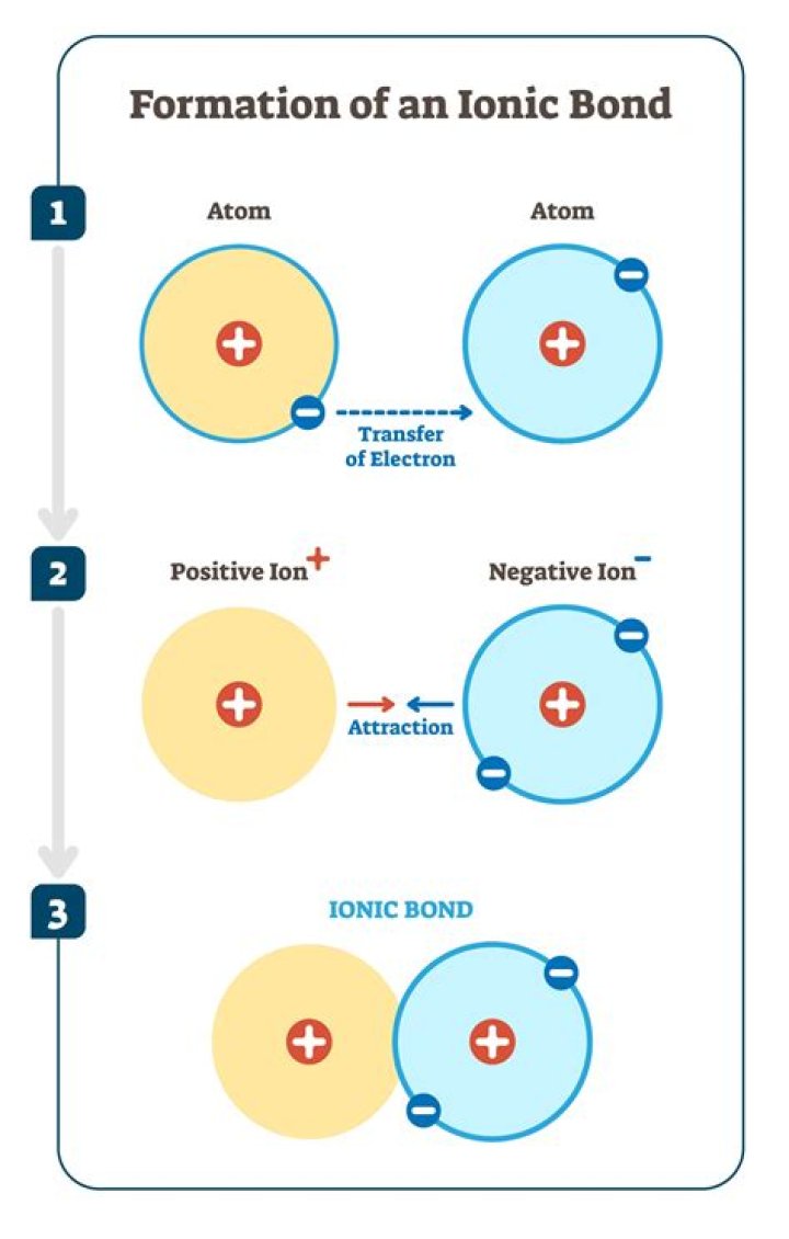 What is an ion formed from a single atom