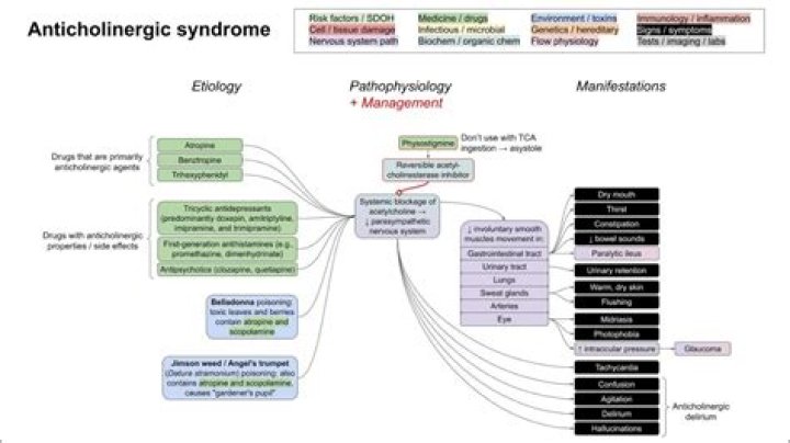 What is anticholinergic syndrome