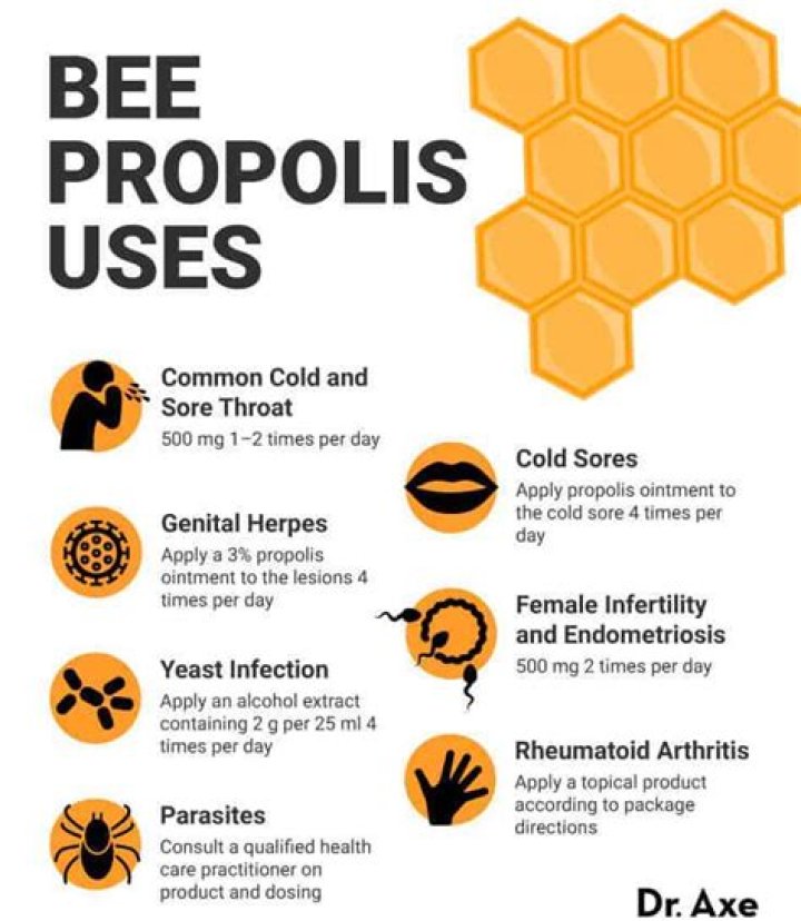 What is bee propolis made of
