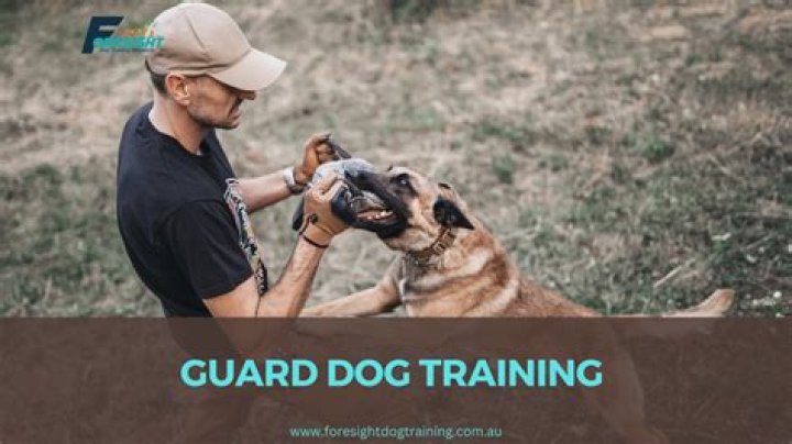 What is guard dog training