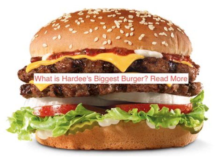 What is Hardees biggest burger