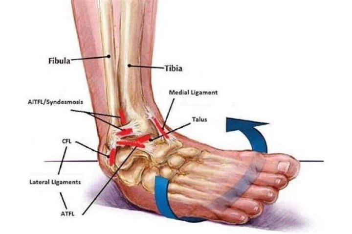 What is lateral foot