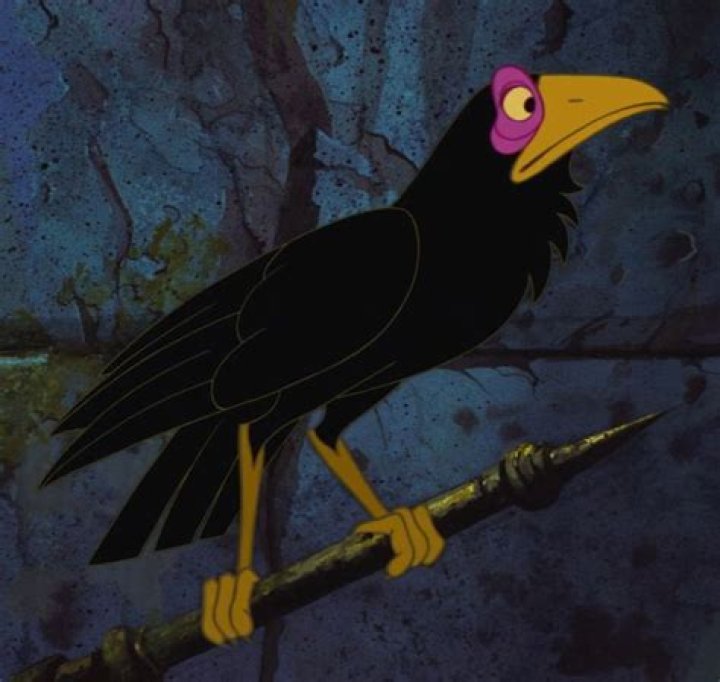 What is Maleficents birds name