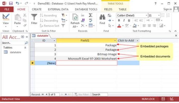 What is OLE object in access