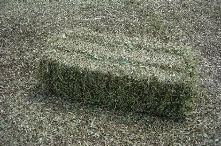 What is peanut hay