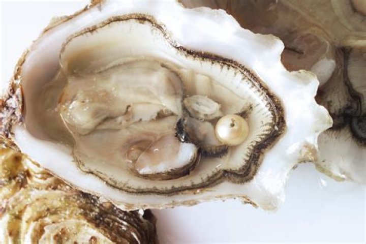 What is pearl production
