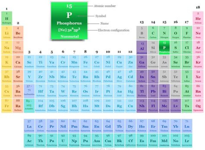 What is phosphorus mainly stored in