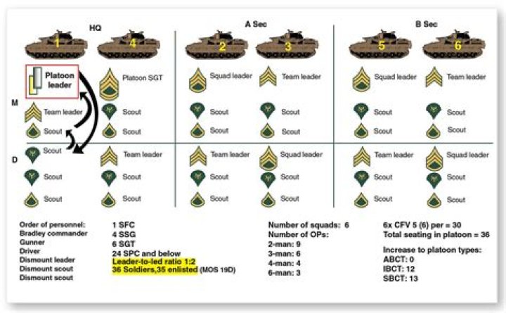 What is scout platoon
