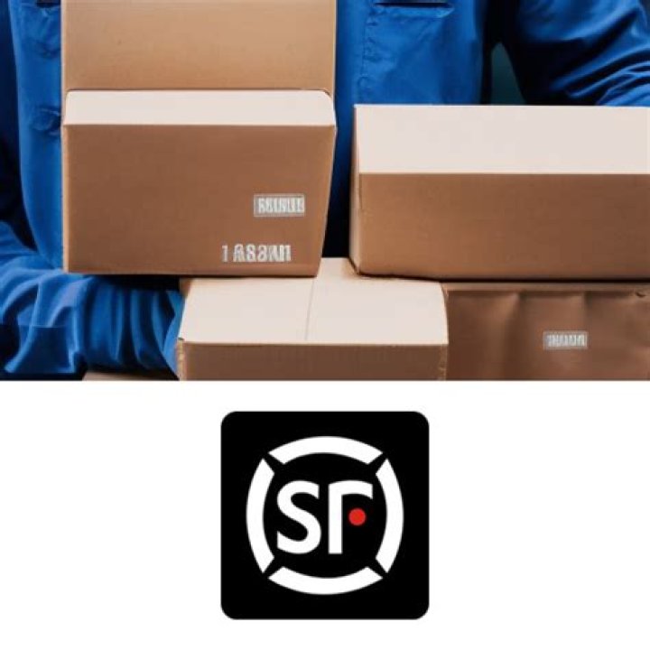 What is SF express shipping