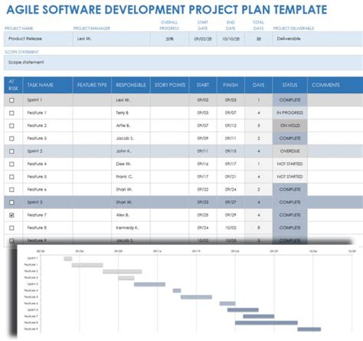What is software project plan