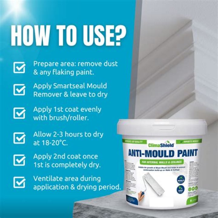 What is the best anti mold paint