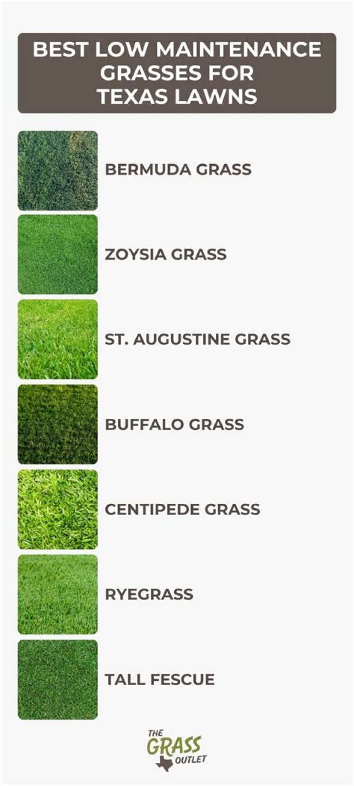 What is the best grass for your lawn