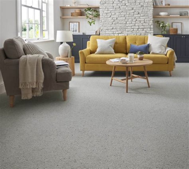 What is the best living room carpet