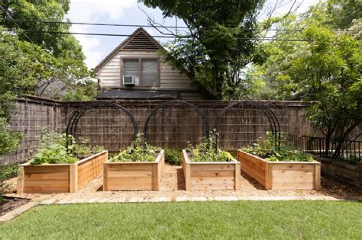 What is the best wood to make raised beds