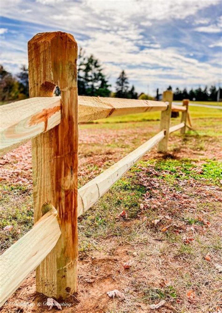What is the best wood to use for a split rail fence