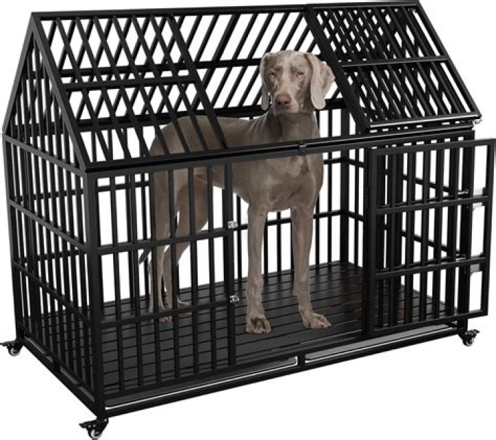 What is the biggest dog crate available