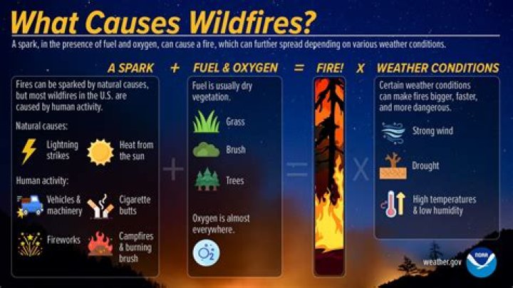 What is the cause of most hunting related firearm incidents