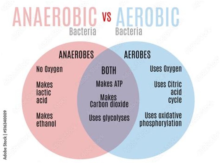 What is the difference between aerobic and anaerobic biodegradation