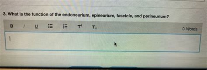 What is the function of Endoneurium