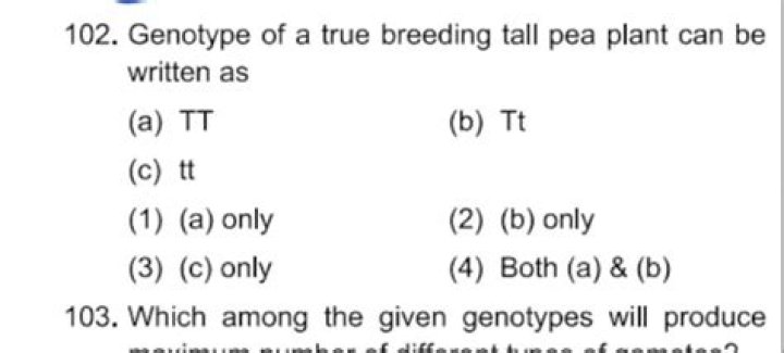 What is the genotype of a plant that produces green peas
