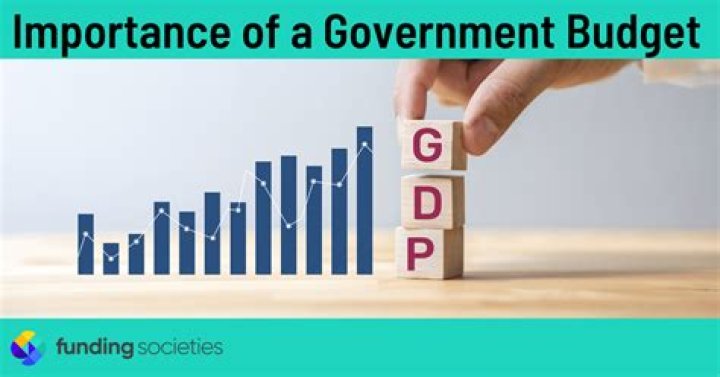 What is the importance of government accounting