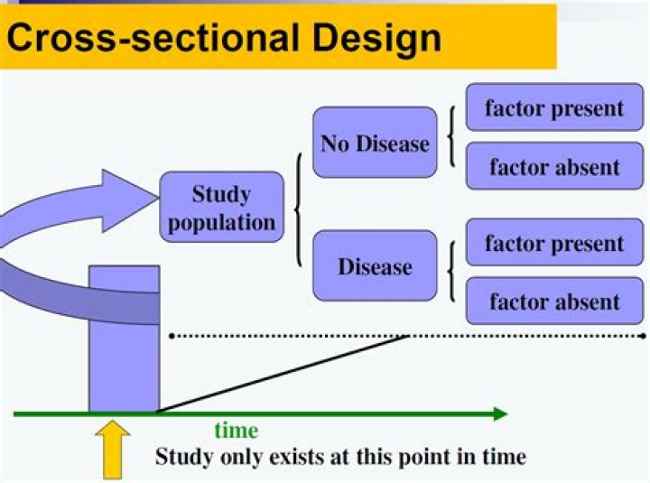 What is the key feature of a cross sectional study