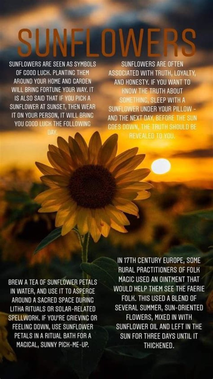 What is the local name of Sunflower