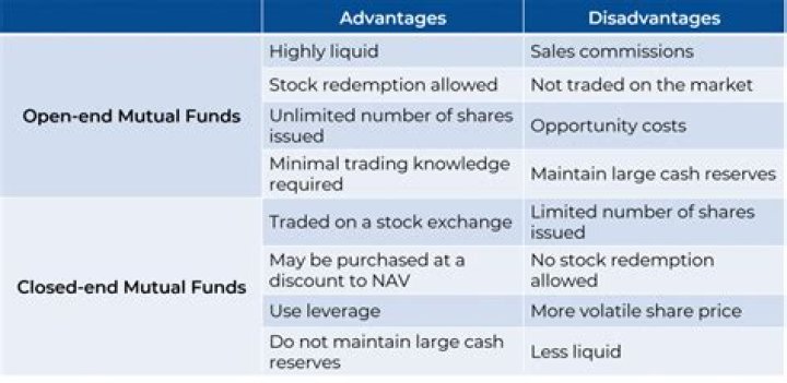 What is the main advantage of a mutual fund