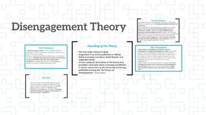 What is the point of view of critics of disengagement theory