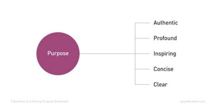 What is the purpose of an MCO