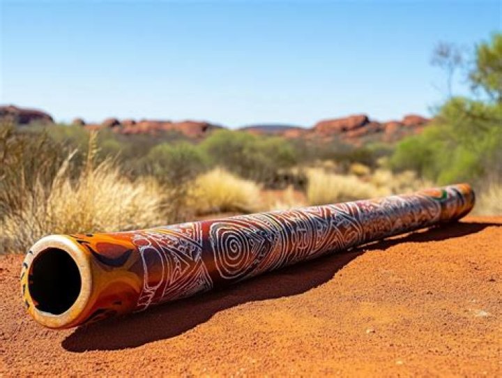 What is the real name of a didgeridoo