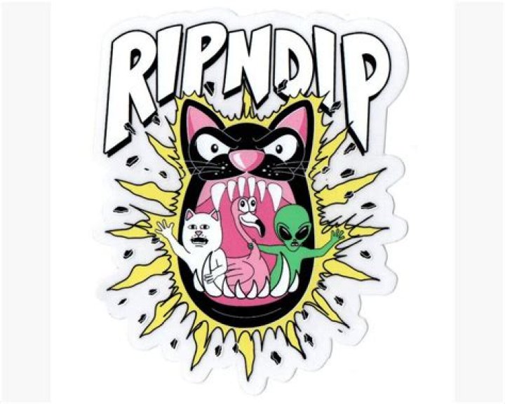 What is the rip and dip cats name