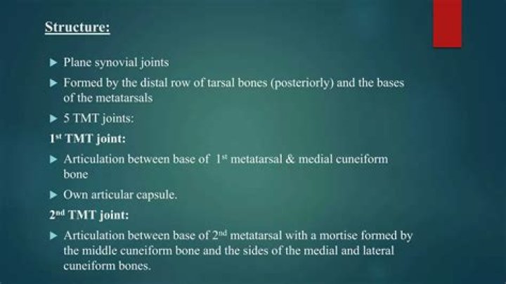 What is the structural classification of the Tarsometatarsal TMT joints
