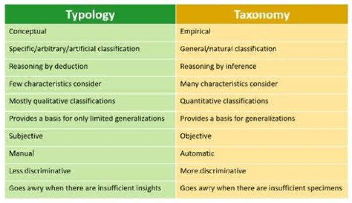 What is type in typology