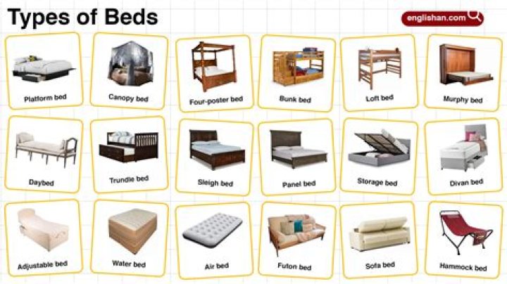 What kind of beds do dorms have