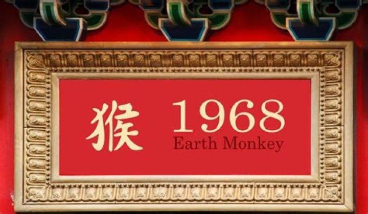 What kind of monkey is 1968