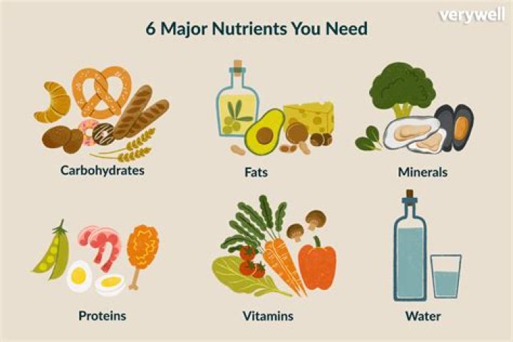 What nutrients do we need