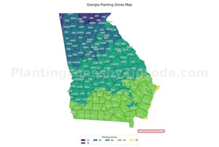 What planting zone is Marietta Georgia