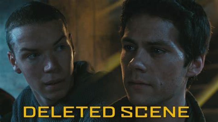What surprising information does Gally share with Thomas