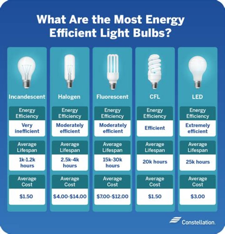 What type of energy saving lights has become popular at Christmas time