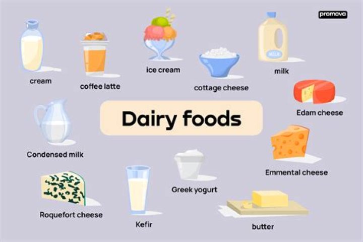 What type of foods are dairy