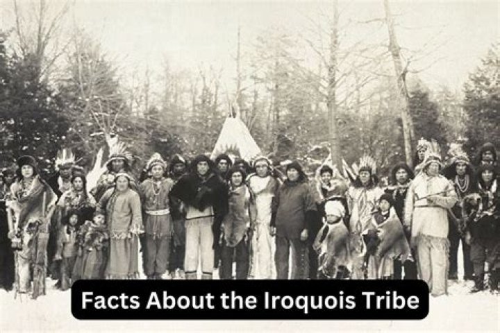 What was the purpose of the grand council Iroquois