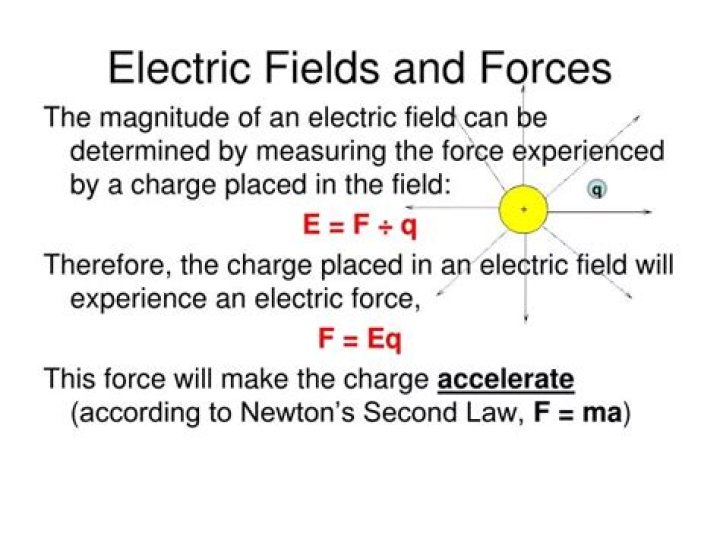 Whats the difference between electric force and field