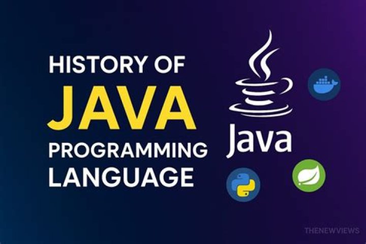 When was Java language developed