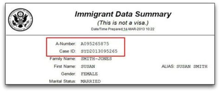 Where can I find my alien registration number