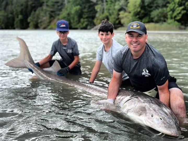 Where can I go fishing for sturgeon