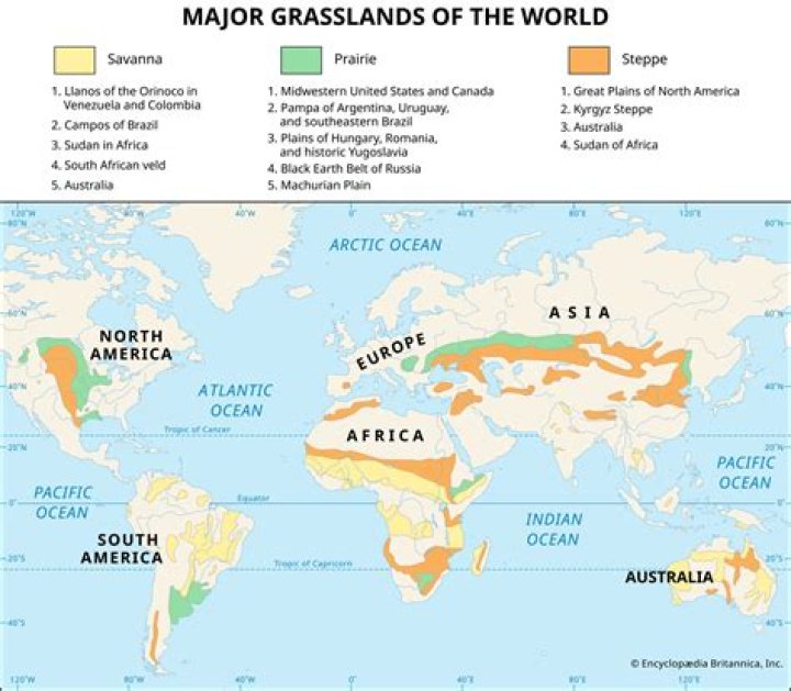Which is tropical grassland