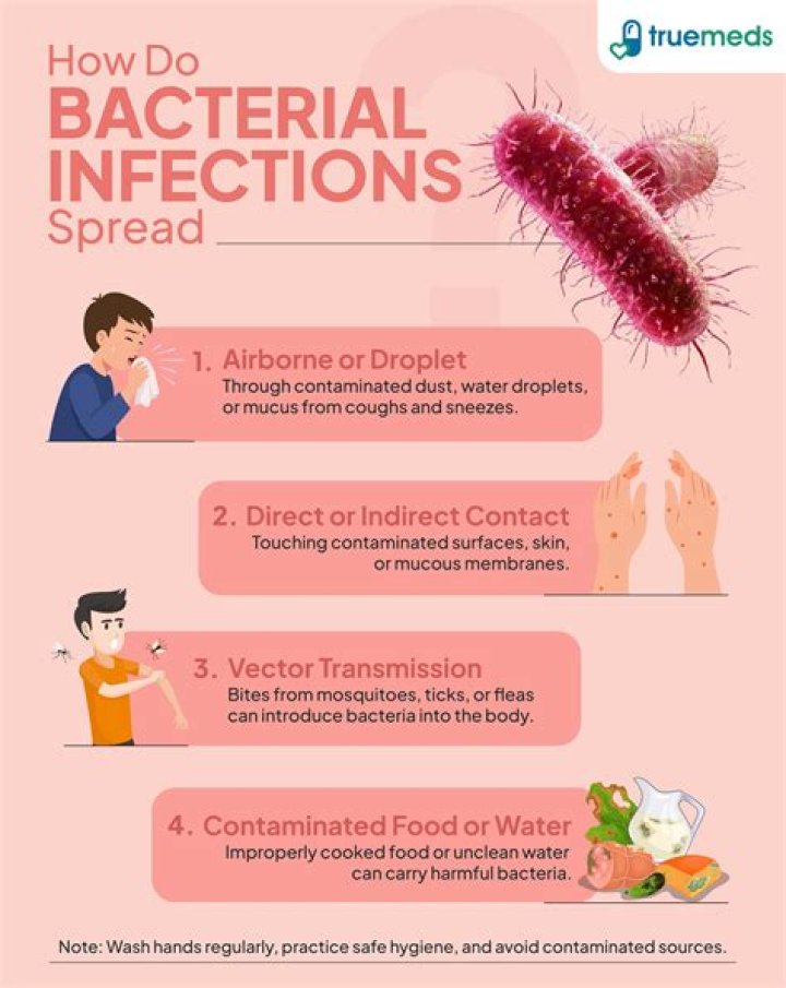 Which microorganisms cause infections such as strep throat certain types of pneumonia and rheumatic fever